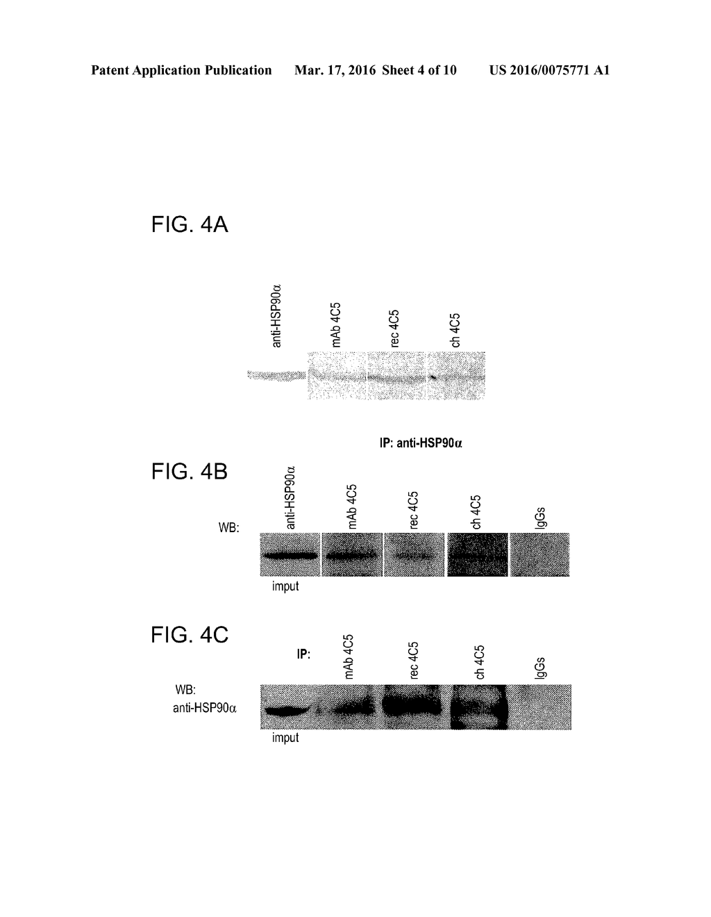 Methods for Treating Neoplasia - diagram, schematic, and image 05