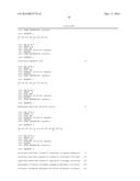 Anti-Glucagon Antibodies and Uses Thereof diagram and image