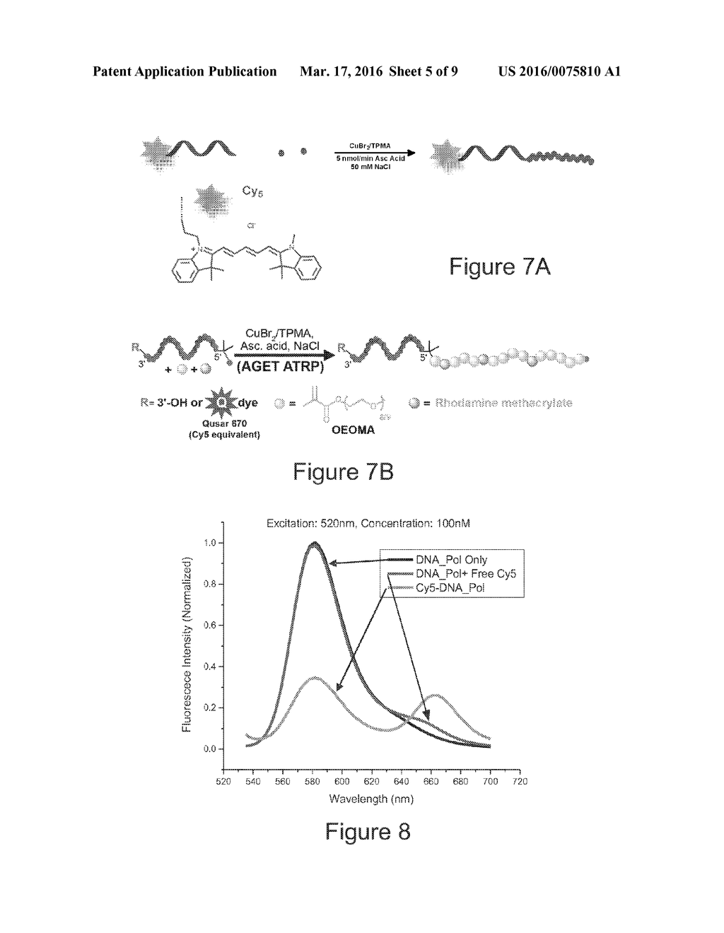 FUNCTIONALIZED POLYMER HYBRIDS - diagram, schematic, and image 06