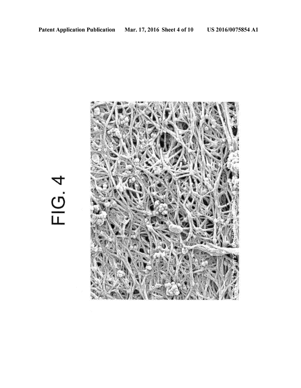 Articles Produced from VDF-co-(TFE or TrFE) Polymers - diagram, schematic, and image 05