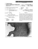 Biodegradable Fire Resistant Foam diagram and image