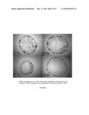 LOW=VOC CLEANING SUBSTRATES AND COMPOSITIONS diagram and image