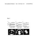 Multiloop Engineered Heart Muscle Tissue diagram and image