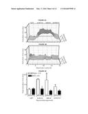 Multiloop Engineered Heart Muscle Tissue diagram and image