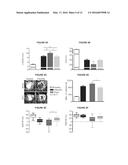 Multiloop Engineered Heart Muscle Tissue diagram and image