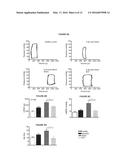 Multiloop Engineered Heart Muscle Tissue diagram and image