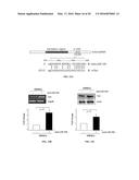 CHEMICALLY TREATED INDUCED PLURIPOTENT STEM CELLS FOR SAFE THERAPEUTIC     APPLICATIONS diagram and image