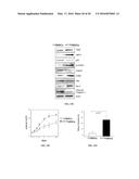 CHEMICALLY TREATED INDUCED PLURIPOTENT STEM CELLS FOR SAFE THERAPEUTIC     APPLICATIONS diagram and image