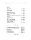 ANTIGEN BINDING MOLECULES WITH INCREASED Fc RECEPTOR BINDING AFFINITY AND     EFFECTOR FUNCTION diagram and image