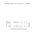 ANTIGEN BINDING MOLECULES WITH INCREASED Fc RECEPTOR BINDING AFFINITY AND     EFFECTOR FUNCTION diagram and image