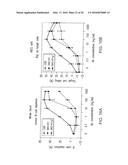 ANTIGEN BINDING MOLECULES WITH INCREASED Fc RECEPTOR BINDING AFFINITY AND     EFFECTOR FUNCTION diagram and image