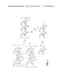 PROCESSING BIOMASS diagram and image