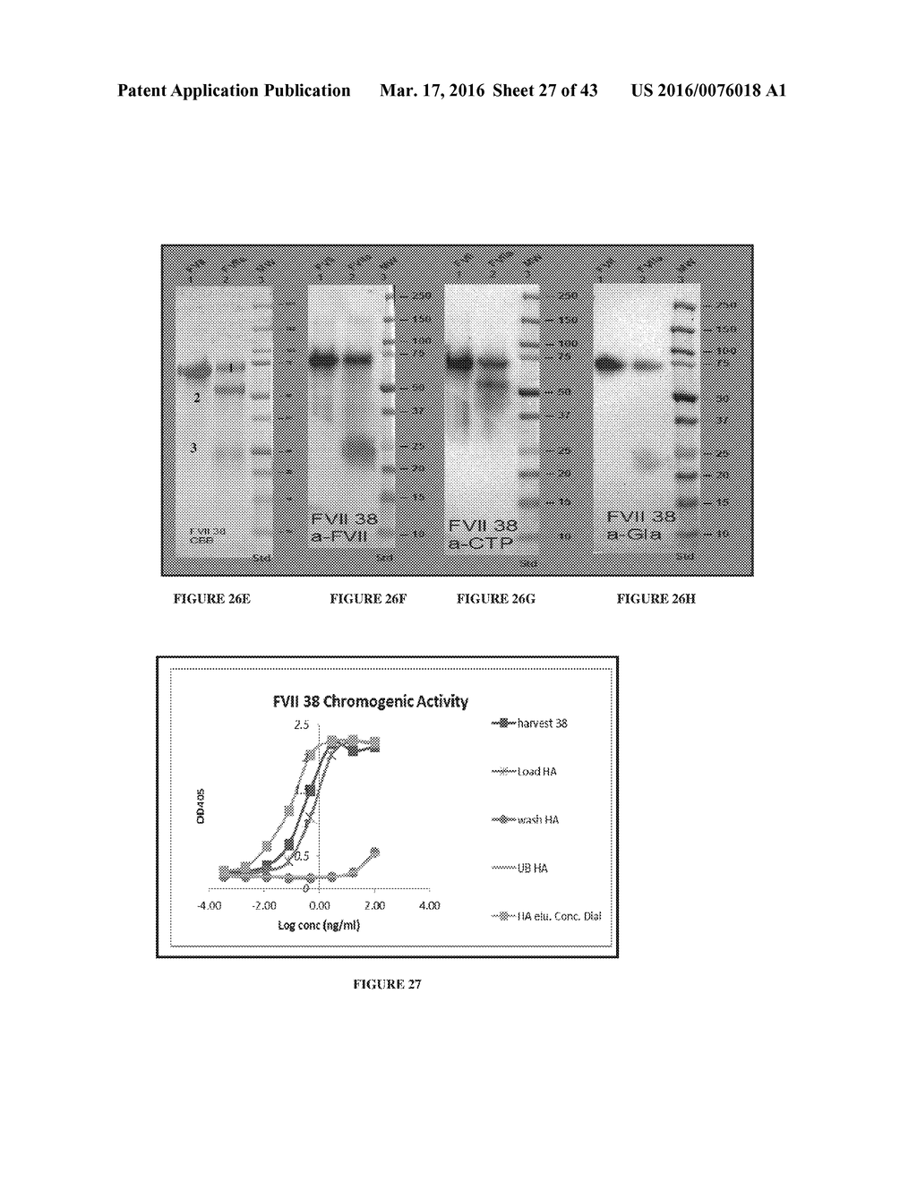 LONG-ACTING COAGULATION FACTORS AND METHODS OF PRODUCING SAME - diagram, schematic, and image 28