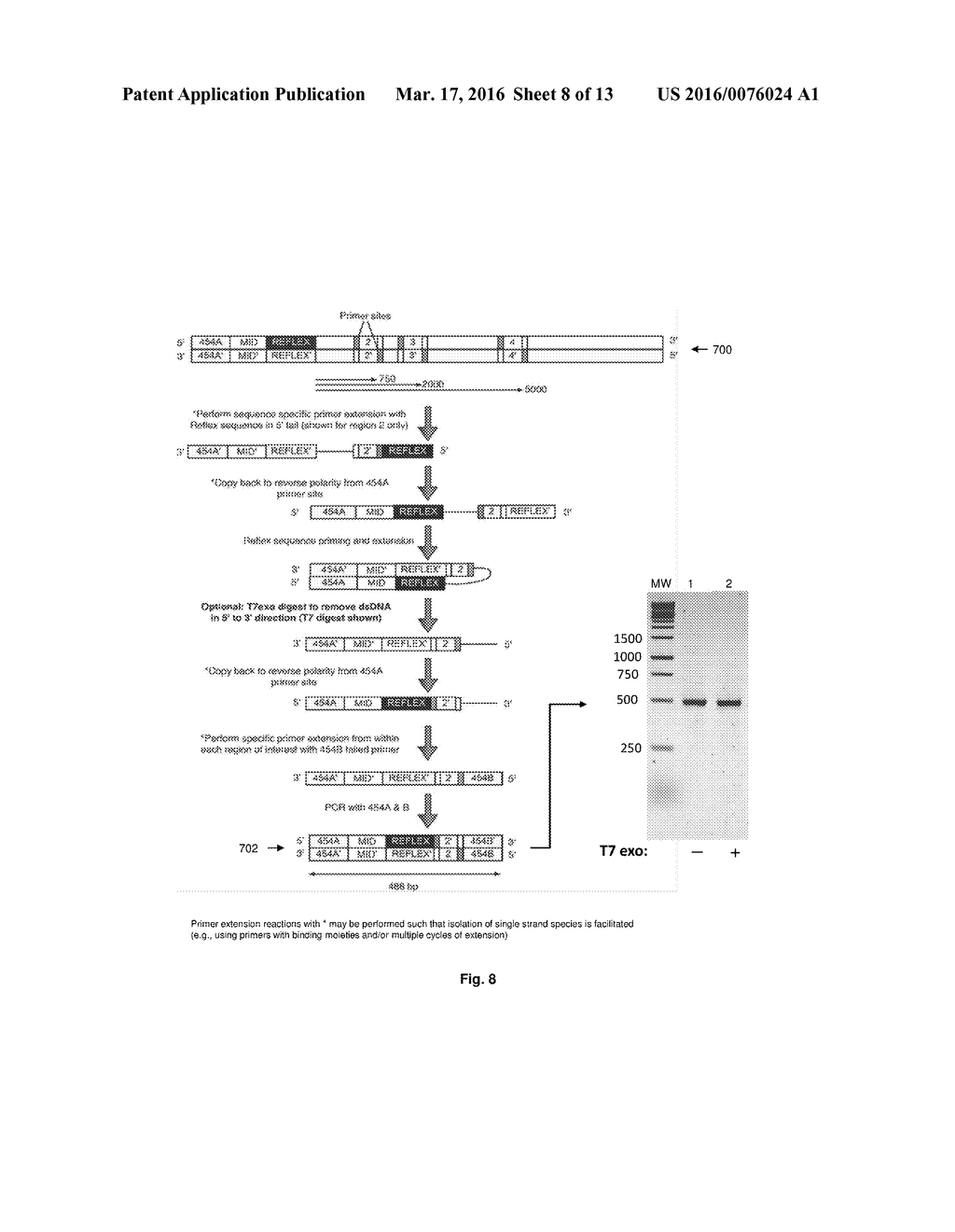 Compositions and Methods for Intramolecular Nucleic Acid Rearrangement - diagram, schematic, and image 09