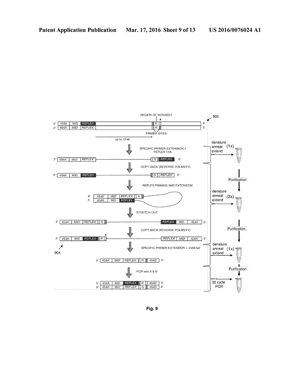 Compositions and Methods for Intramolecular Nucleic Acid Rearrangement - diagram, schematic, and image 10