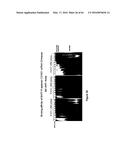 RNA  APTAMERS AGAINST BAFF-R AS CELL-TYPE SPECIFIC DELIVERY AGENTS AND     METHODS FOR THEIR USE diagram and image