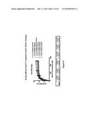 RNA  APTAMERS AGAINST BAFF-R AS CELL-TYPE SPECIFIC DELIVERY AGENTS AND     METHODS FOR THEIR USE diagram and image