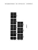 RNA  APTAMERS AGAINST BAFF-R AS CELL-TYPE SPECIFIC DELIVERY AGENTS AND     METHODS FOR THEIR USE diagram and image