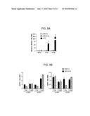 Foreign DNA Surveillance Protein diagram and image