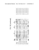 Foreign DNA Surveillance Protein diagram and image