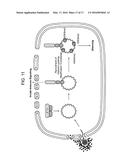 Foreign DNA Surveillance Protein diagram and image