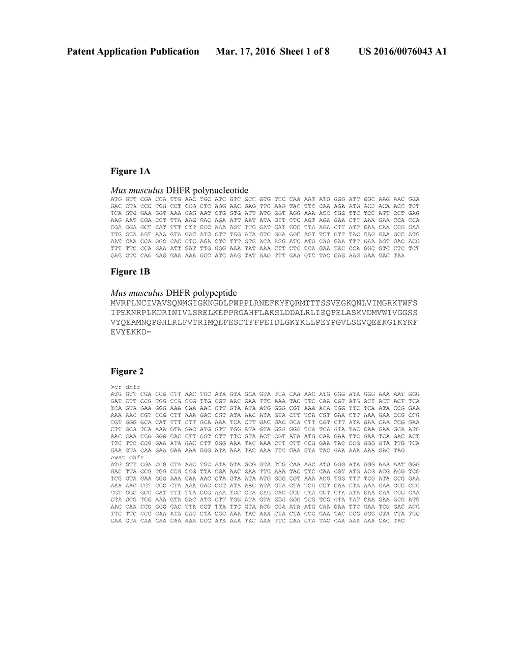 Methods for Improving Recombinant Protein Expression - diagram, schematic, and image 02