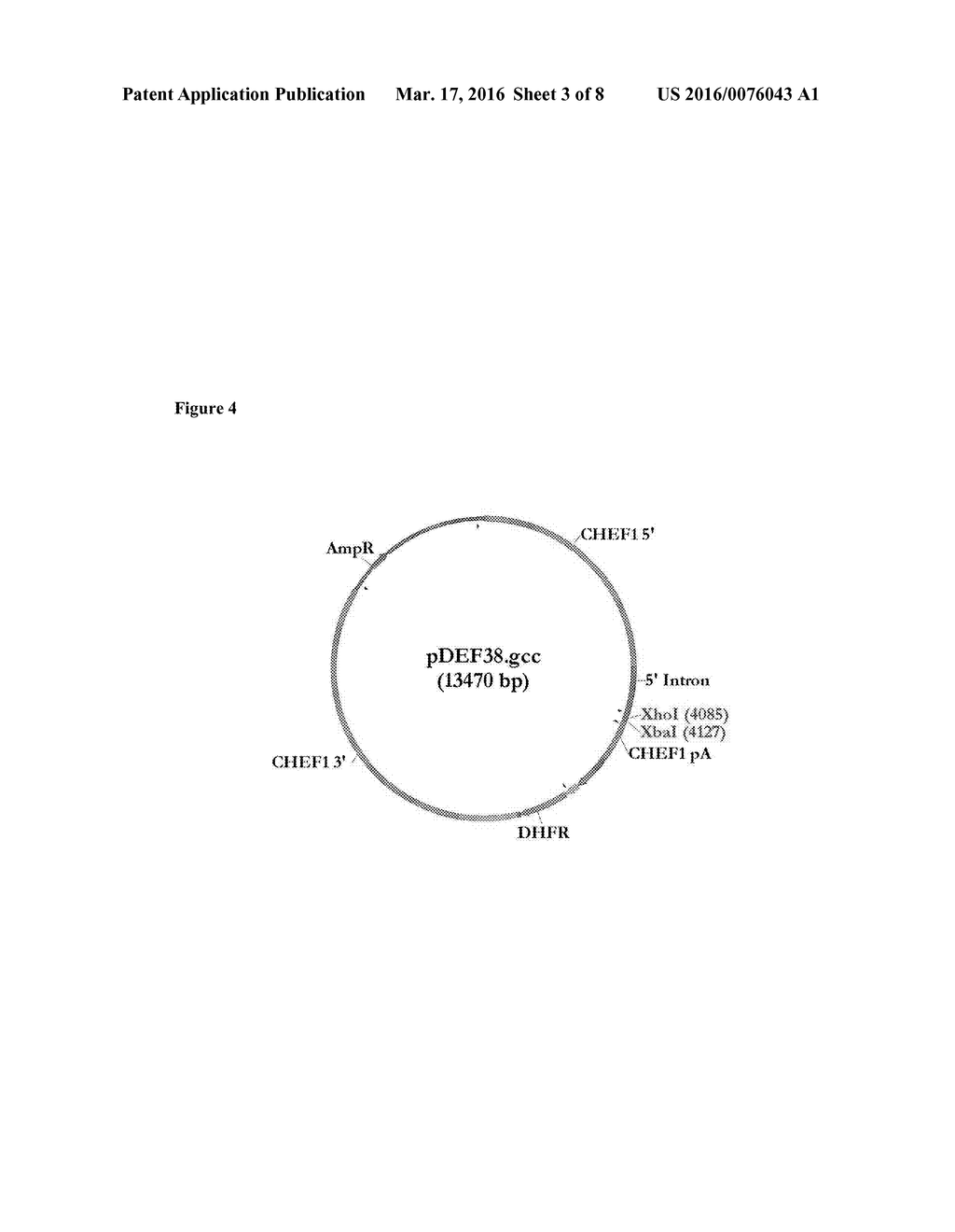 Methods for Improving Recombinant Protein Expression - diagram, schematic, and image 04