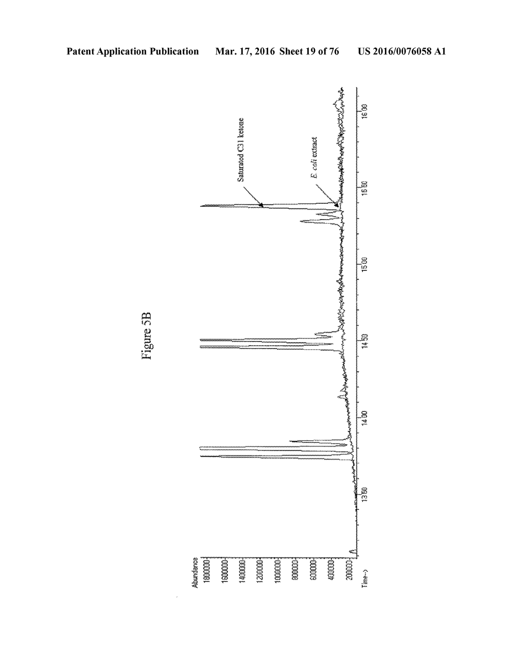 HYDROCARBON-PRODUCING GENES AND METHODS OF THEIR USE - diagram, schematic, and image 20