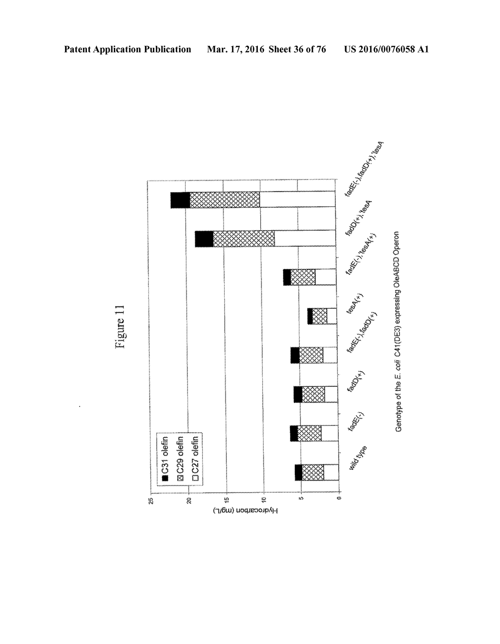 HYDROCARBON-PRODUCING GENES AND METHODS OF THEIR USE - diagram, schematic, and image 37