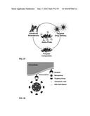 ENGINEERED STRAIN OF ESCHERICHIA COLI FOR PRODUCTION OF     POLY-R-3-HYDROXYALKANOATE POLYMERS WITH DEFINED MONOMER UNIT COMPOSITION     AND METHODS BASED THEREON diagram and image