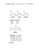 ENGINEERED STRAIN OF ESCHERICHIA COLI FOR PRODUCTION OF     POLY-R-3-HYDROXYALKANOATE POLYMERS WITH DEFINED MONOMER UNIT COMPOSITION     AND METHODS BASED THEREON diagram and image