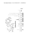 ENGINEERED STRAIN OF ESCHERICHIA COLI FOR PRODUCTION OF     POLY-R-3-HYDROXYALKANOATE POLYMERS WITH DEFINED MONOMER UNIT COMPOSITION     AND METHODS BASED THEREON diagram and image