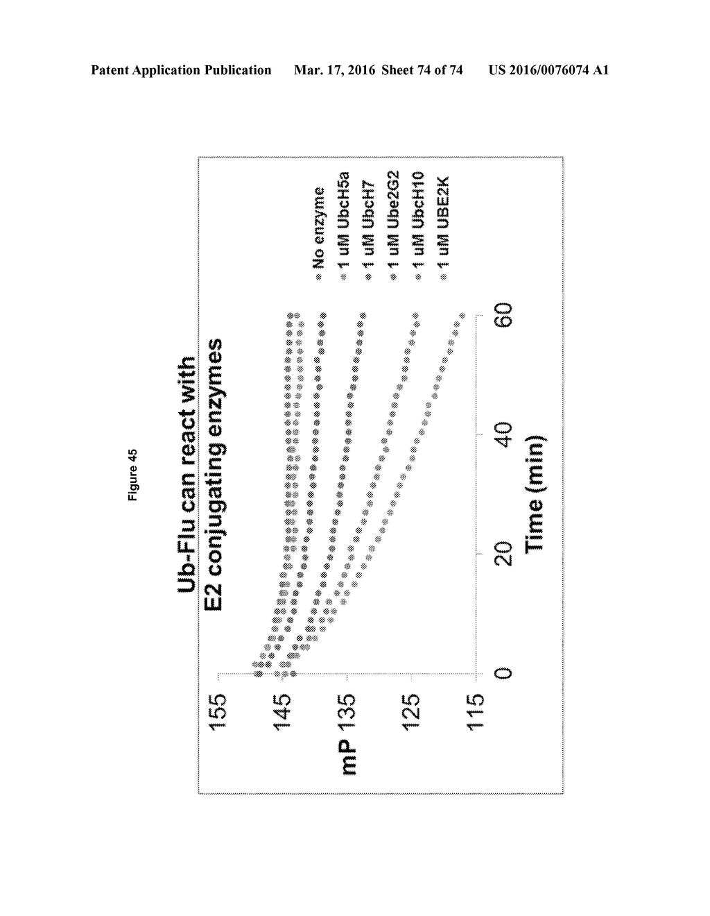 PROBES AND ASSAYS FOR MEASURING E3 LIGASE ACTIVITY - diagram, schematic, and image 75