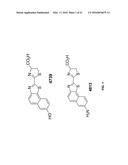 NOVEL LUCIFERASE SEQUENCES UTILIZING INFRARED-EMITTING SUBSTRATES TO     PRODUCE ENHANCED LUMINESCENCE diagram and image