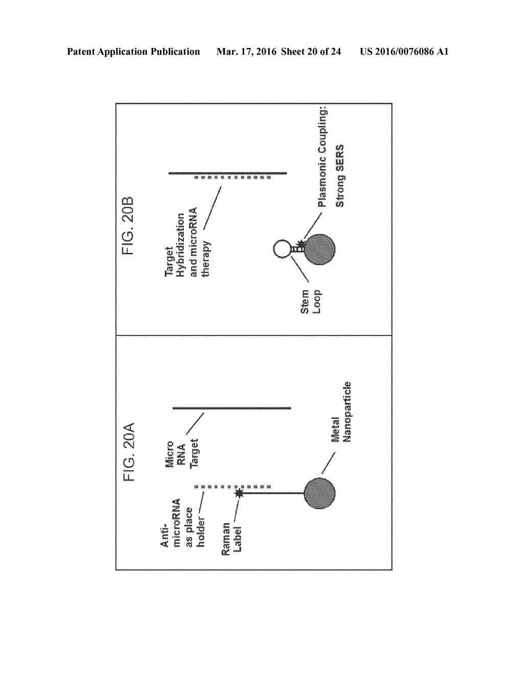 NANO-PLASMONIC MOLECULAR PROBES AND METHODS OF USE - diagram, schematic, and image 21