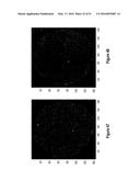 Assays for Single Molecule Detection and Use Thereof diagram and image