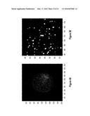 Assays for Single Molecule Detection and Use Thereof diagram and image