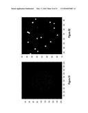 Assays for Single Molecule Detection and Use Thereof diagram and image