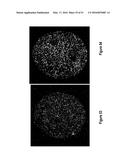 Assays for Single Molecule Detection and Use Thereof diagram and image