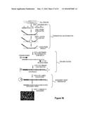 Assays for Single Molecule Detection and Use Thereof diagram and image