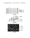 Assays for Single Molecule Detection and Use Thereof diagram and image