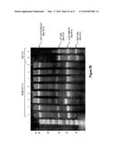 Assays for Single Molecule Detection and Use Thereof diagram and image