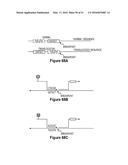 Assays for Single Molecule Detection and Use Thereof diagram and image