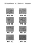 MOLECULAR TARGETS FOR ALS AND RELATED DISORDERS diagram and image