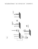 miRNA FINGERPRINT IN THE DIAGNOSIS OF DISEASES diagram and image