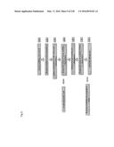 miRNA FINGERPRINT IN THE DIAGNOSIS OF DISEASES diagram and image