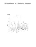 miRNA FINGERPRINT IN THE DIAGNOSIS OF DISEASES diagram and image