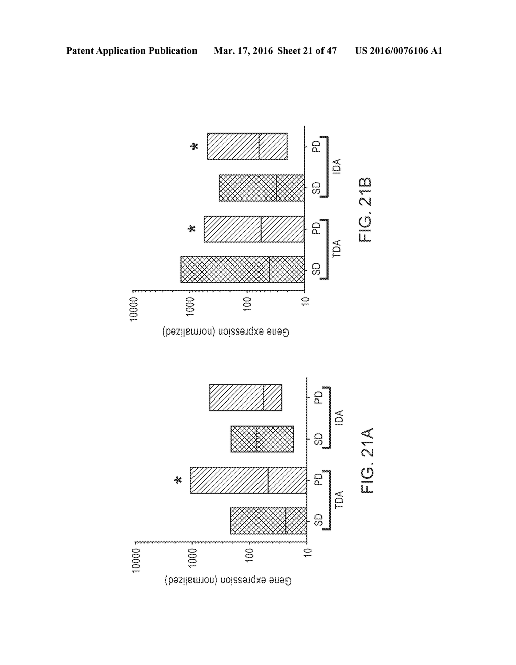 Compositions, Methods and Kits for Diagnosis of A Gastroenteropancreatic     Neuroendocrine Neoplasm - diagram, schematic, and image 22