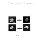 COATED MESOFLOWERS FOR MOLECULAR DETECTION AND SMART BARCODE MATERIALS diagram and image