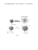 COATED MESOFLOWERS FOR MOLECULAR DETECTION AND SMART BARCODE MATERIALS diagram and image